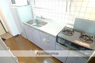 ノースヴィレッジ芳斉【601号室】のキッチン