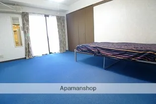 ノースヴィレッジ芳斉【601号室】のその他画像