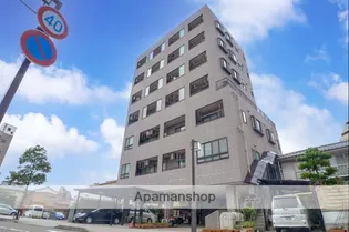 ノースヴィレッジ芳斉【601号室】の外観