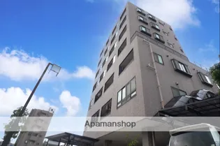 ノースヴィレッジ芳斉【601号室】の外観