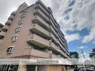 信開ダイナスティ浅野川の画像