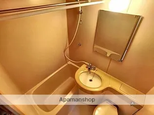 メゾン・ド・グロリエ【109号室】の風呂