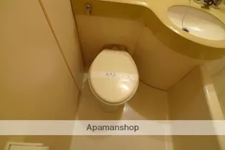 メゾン・ド・グロリエ【304号室】の風呂