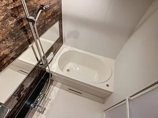 GRAN VERT神田【202号室】の風呂