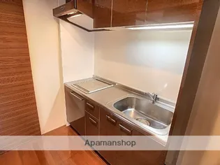 ファースト・レーベン彦三Ⅱ【301号室】のキッチン