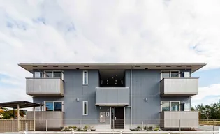 オリーブの画像