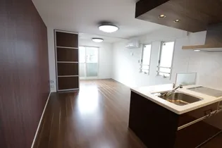 グランカーサ十三間町【3階】の内装