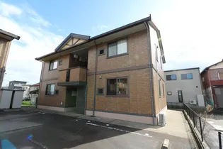 ソレル Bの画像