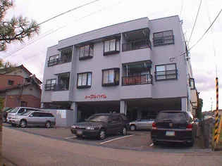 メープルハイム【2階】の外観