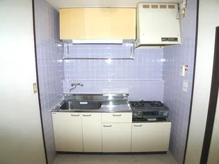 メゾンロマニア【301号室】のキッチン