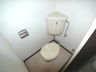 メゾンロマニア【301号室】のその他画像