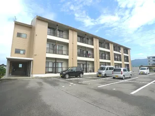 カンパーニュの画像