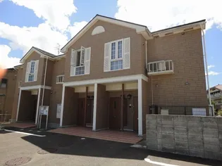 プラシードKの画像