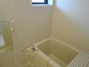 リビングタウン小松弐番館 C棟【2階】の風呂