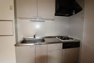 セジュール ポロアⅡ【2階】のキッチン