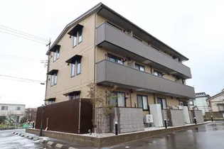 ラネオンの画像