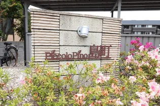 PICCOLO PINO島町(ピッコロ ピーノ) A棟【2階】の内装