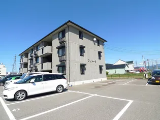 プリメーラの画像