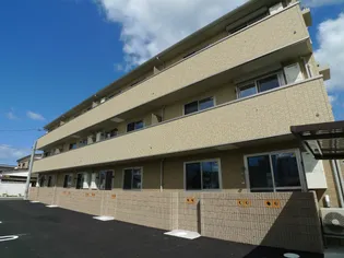 アムールの画像