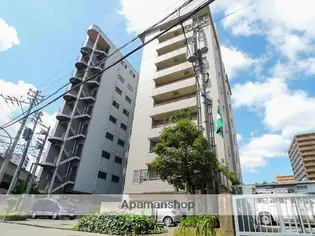 プラバ26の画像