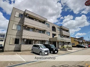 プラシード K1の画像