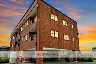 ボナ セーラの画像