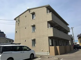 プリムラの画像