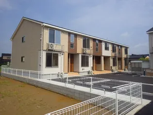 ゴールデン ステップIの画像