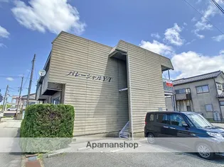 パレーシャルY Tの画像