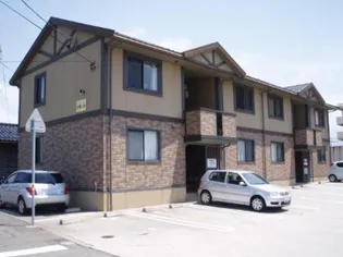 沙羅の木の画像