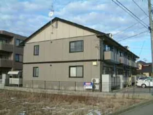 サザン クロスの画像