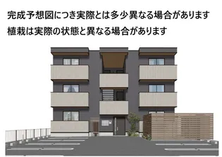 グレイスフルNの画像