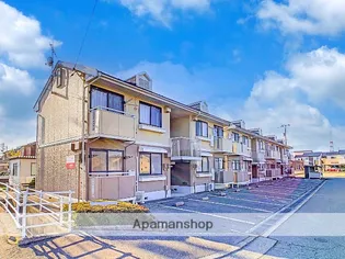 ガーデン秋桜の画像