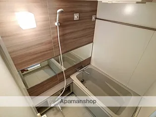 四季の街 ドゥ・モンターニュ泉【601号室】の風呂