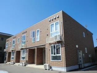 プラシードウエダIIの画像