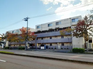 ナオパウムの画像