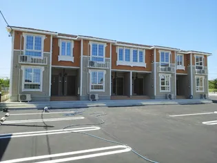 コンフィールT1の画像