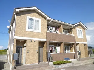 ベルヴェデーレ白尾 Cの画像