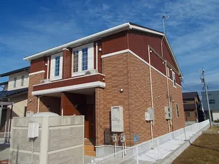 アプリコットの画像