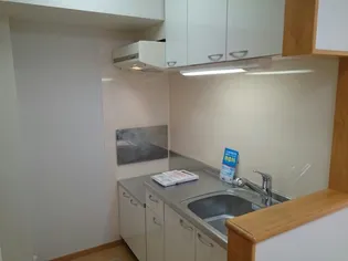 ヴィータ【1階】のキッチン