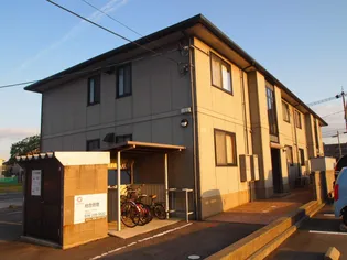 ミレニアム Dの画像