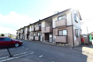 ベルティストンの画像