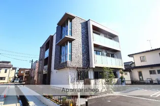 ケンティフォリアの画像