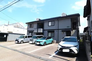 ノースバードの画像