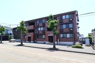 ハリークレスト A【3階】の外観