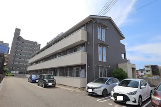 RICO FIELDリコ フィールドの画像