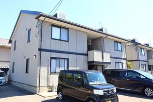 サンフラワー Bの画像