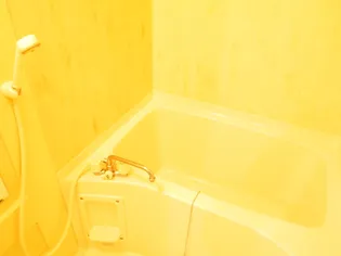 ノースリバーJ【1階】の風呂