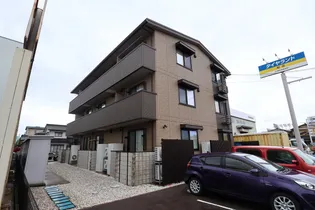 ヴィオラの画像