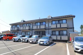 サザン クロスの画像